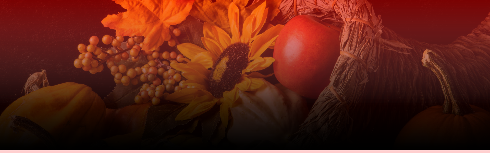 thanksgiving 2025 banner