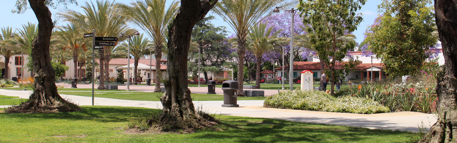 Wide shot of the main courtyard on the LAC campus.