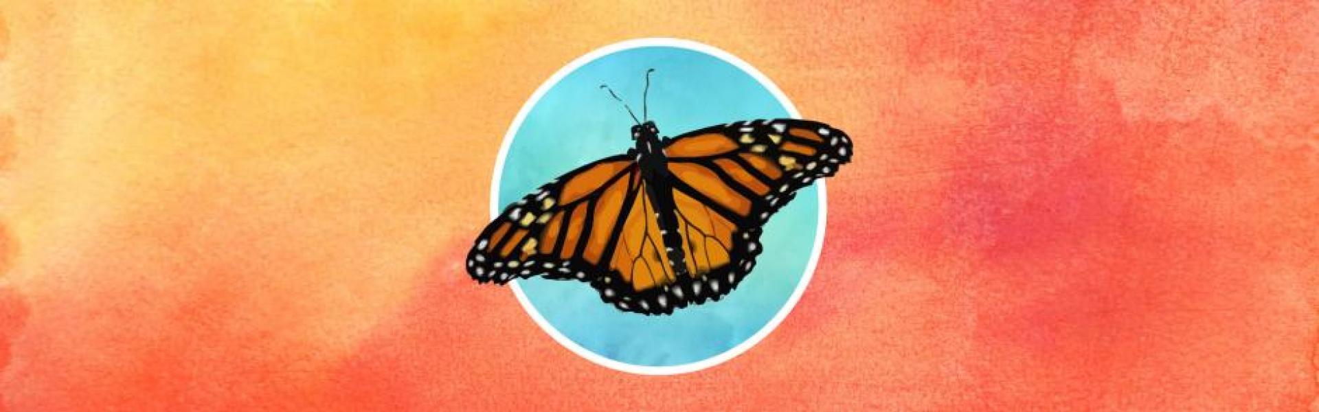 monarch butterfly background