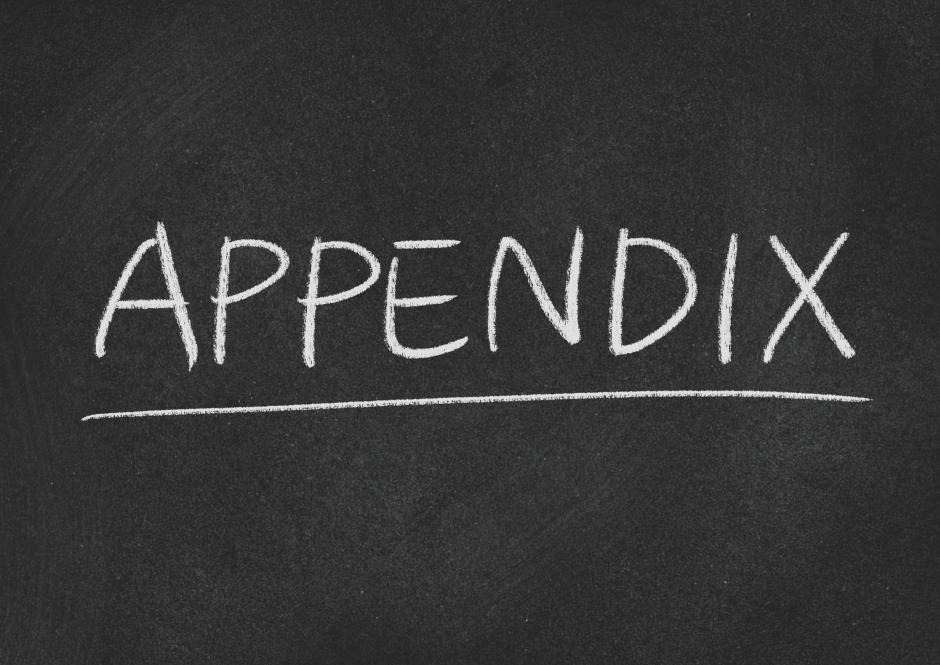 Appendix text written with white chalk on a black board