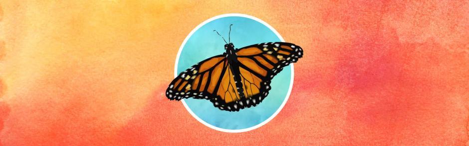 monarch butterfly background