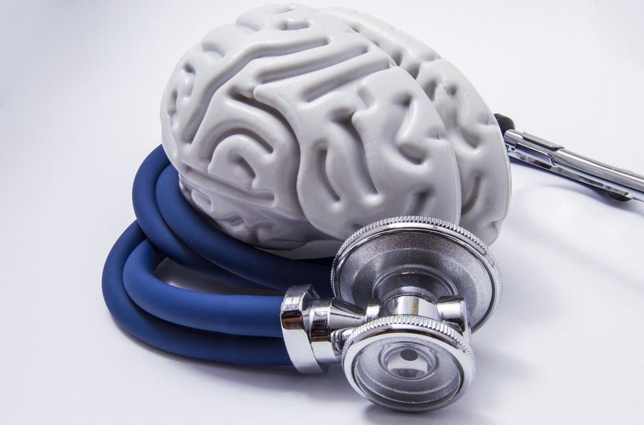 A model of the human brain with a stethoscope.