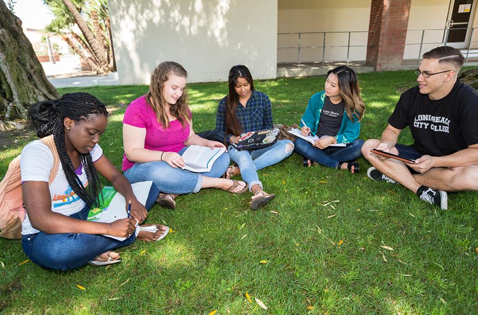 International transfer in students sitting on the lawn working on school projects