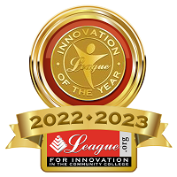 Innovation of the Year Award Badge