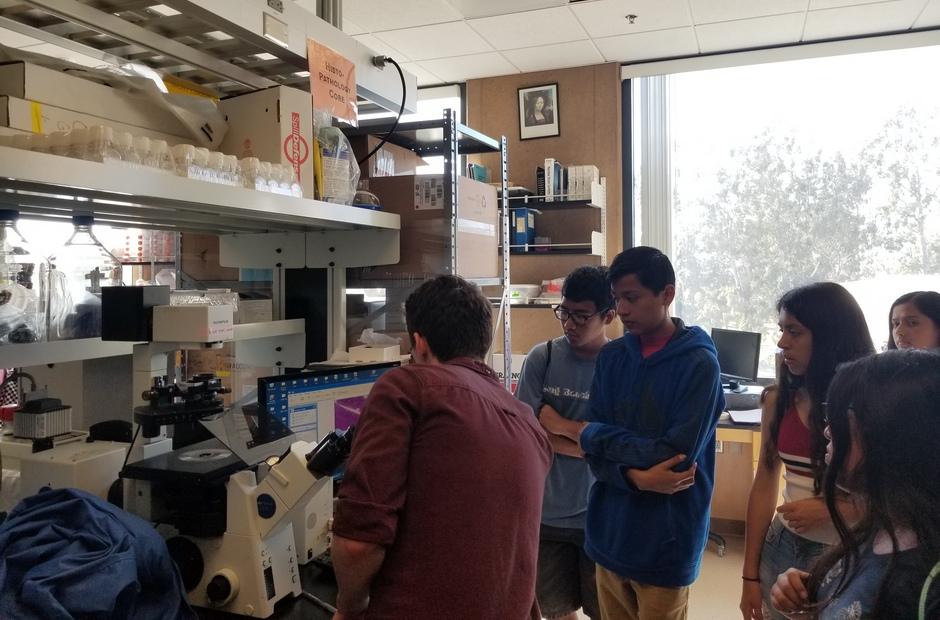 Upward Bound students in a lab.