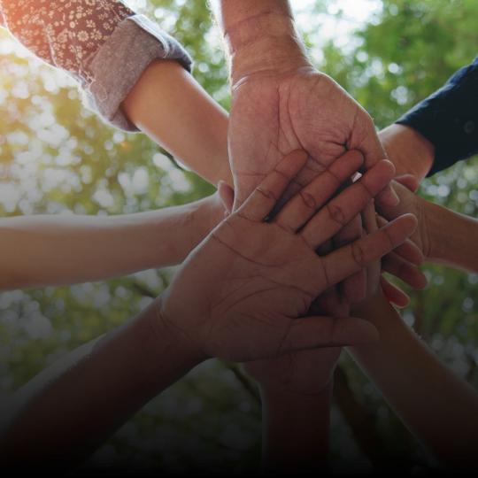 Allyship Collaborative